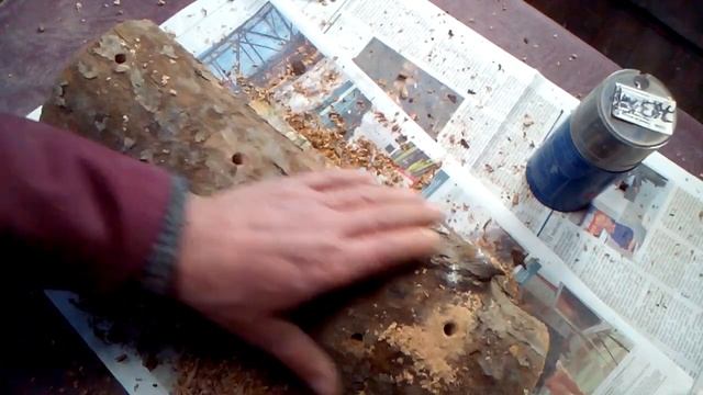 Как вырастить грибы на даче (How to grow mushrooms in the country) смотреть онлайн