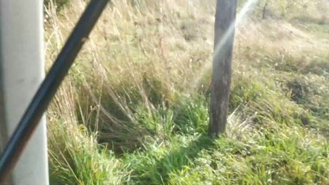 покос мульчирование, вспашка фрезеровка, уплотнение. работа двух тракторов одновременно смотреть онлайн