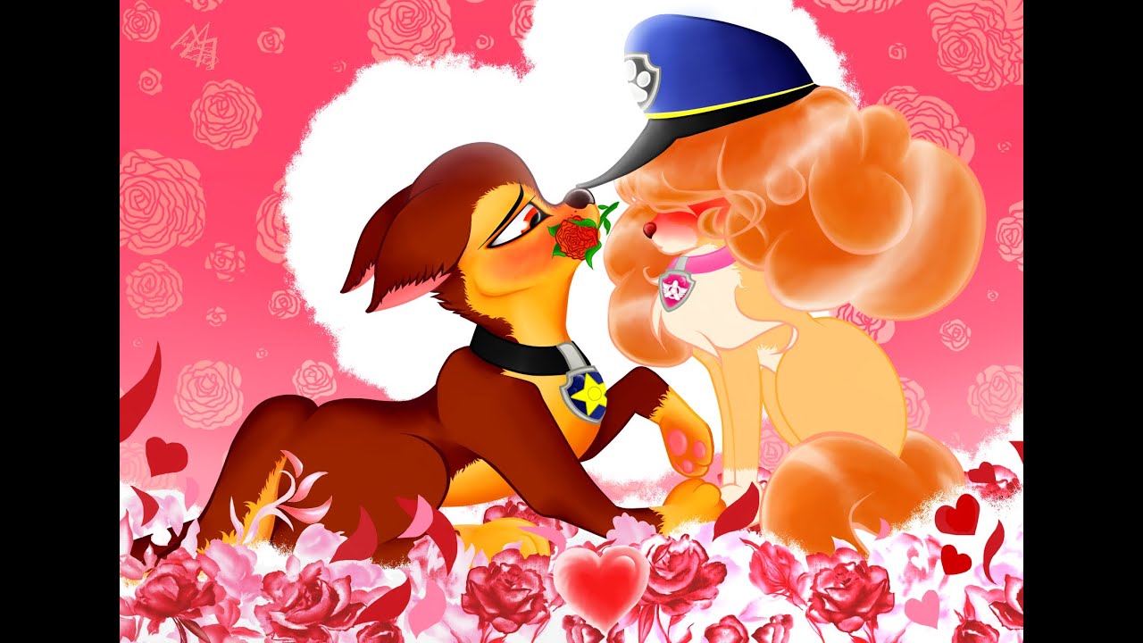 Skase _ Art ◕ ω ◕