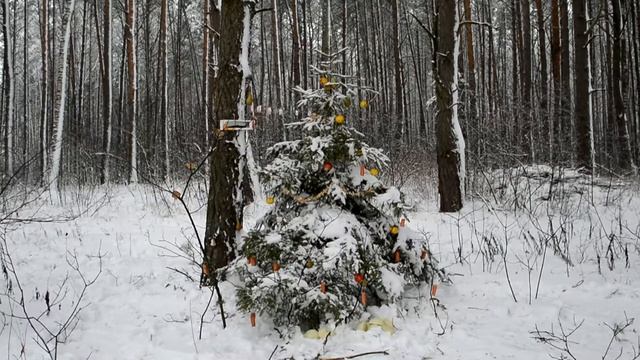 НОВАЯ ЗИМНЯЯ ТРАДИЦИЯ) ПРИСОЕДИНЯЙТЕСЬ! 30.12.2018 №2