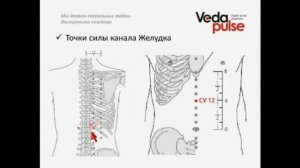 Канал Желудка, диагностика и методы воздействия