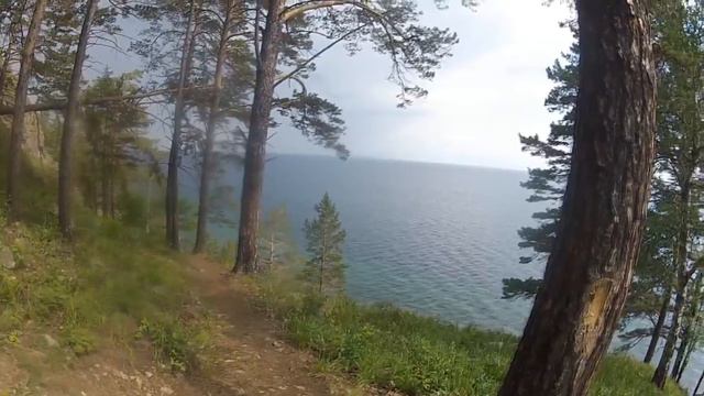 ББТ большие коты скрипер листвянка 2016 смотреть онлайн
