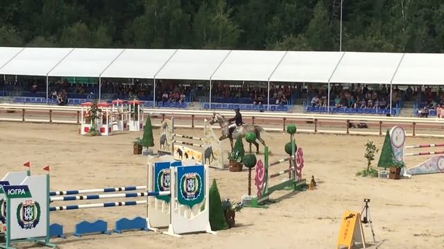 Леголас Сон 7 лет, CSI3*/CSIYH1* , 06.08.16 всадник Сергей Петров 2 место смотреть онлайн