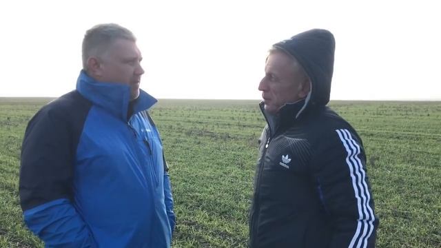 Почему пшеница посеяна вместе со льном смотреть онлайн