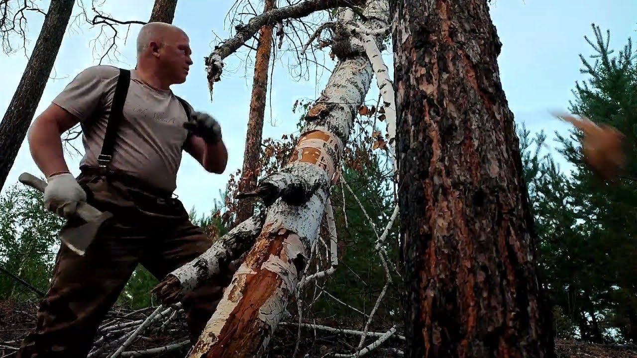 Где бы надрать бересты Лучший материал для розжига смотреть онлайн
