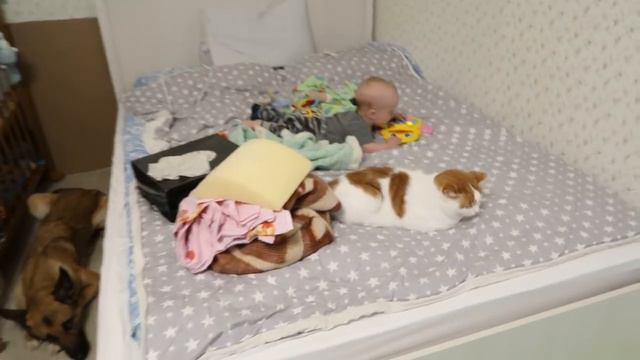 Влог 20.06.17 Полная перестановка мебели!