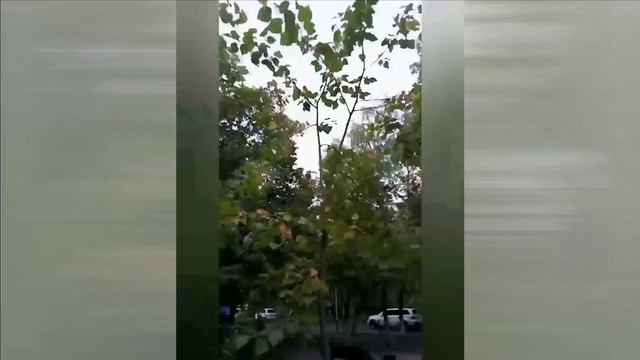 Стихотворение "Христос в пустыне". Читает автор Александр Ткаченко. смотреть онлайн