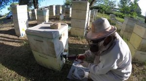 Обработка сублиматором щавелевой кислотой  май- июнь 2019 год