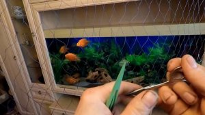 Ремонт Рыболовной Сети! Как Быстро и Правильно Залатать Дыры в Сети!