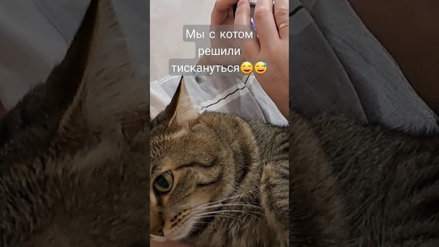 Мы с котом решили тискануться?.mp4