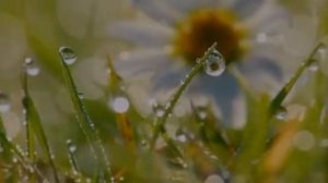 Юлия Быкова - Так скучала я.