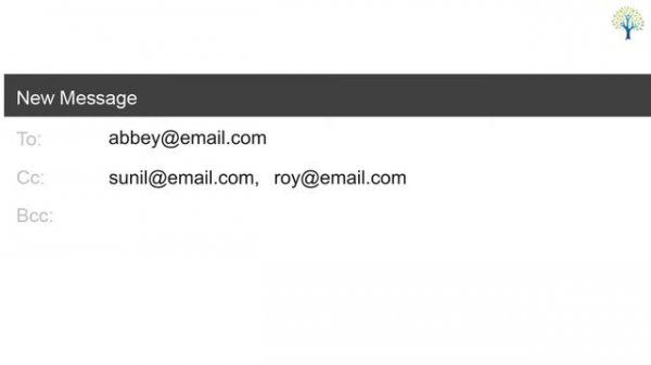 Basics of email writing |  Email Pro+