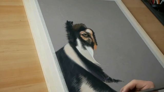 REALISTIC WOLF DRAWING - Animal Art | Colour Pastel Technique смотреть онлайн
