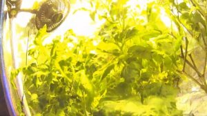 Led освещение против ДНАТ. Первые итоги эксперимента.2020 год.