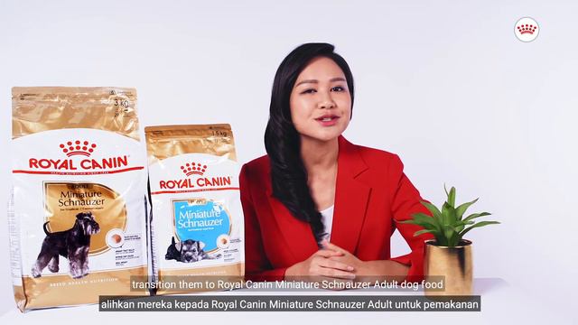 Royal Canin Miniature Schnauzer Puppy And Adult