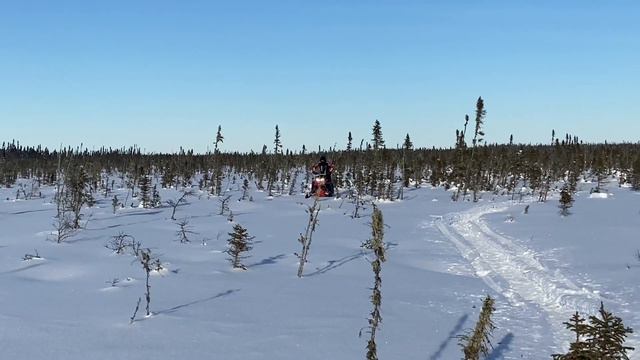 MBRP vs GGB trail cans TEST смотреть онлайн