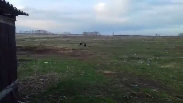 Увеличение скорости на мотокультиваторе смотреть онлайн
