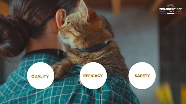 Behind the scenes at Pro-Nutrition : the expert of petfood Made in France смотреть онлайн