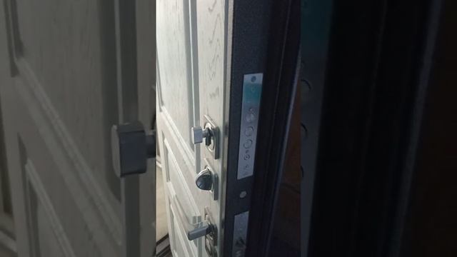 Входная дверь АРГУС ЛЮКС 3К СКИФ 12ММ смотреть онлайн