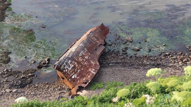 Путешествие на мыс "Крильон". Четвёртая серия. смотреть онлайн