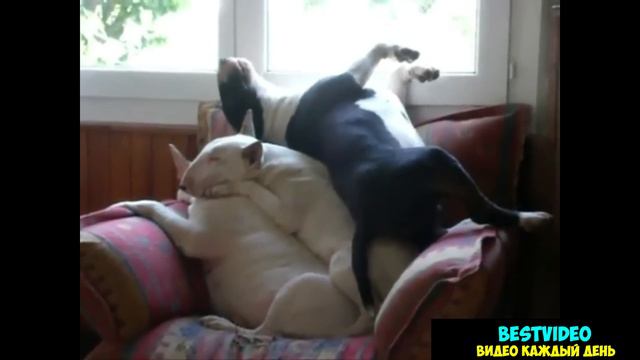 Места всем хватит \ Place enough for everyone смотреть онлайн