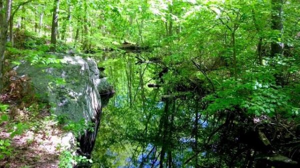 Soothing Sea Noise, Sound Of Waves, Sea Surf For Relaxation, White Noise