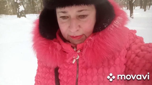 Прогулка по сосновой роще / Снег скрипит под ногами / Блаженство #прогулка#роща#блаженство смотреть онлайн