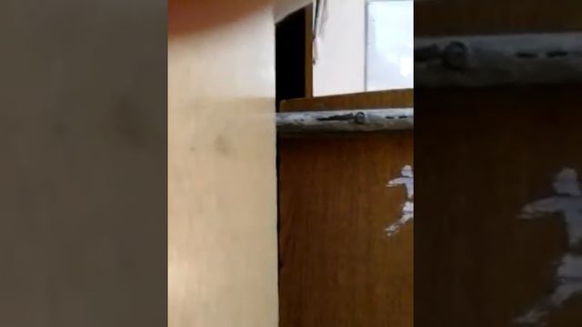 ВЛОГ мы в школе !!!♡☆♡☆ смотреть онлайн