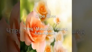 Сура 36 Ясин Чтец Мишари Рашид Аль Афаси