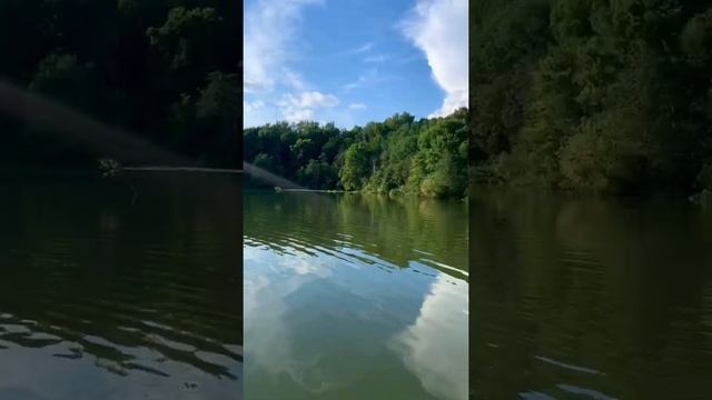Лето - это кайф ? #shorts #razor_tattoo #природа #озеро #лето #июль #москва #закат смотреть онлайн
