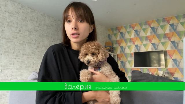 Валерия, владелец собаки смотреть онлайн