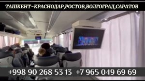 Ташкент Краснодар автобус такси Краснодар Ташкент