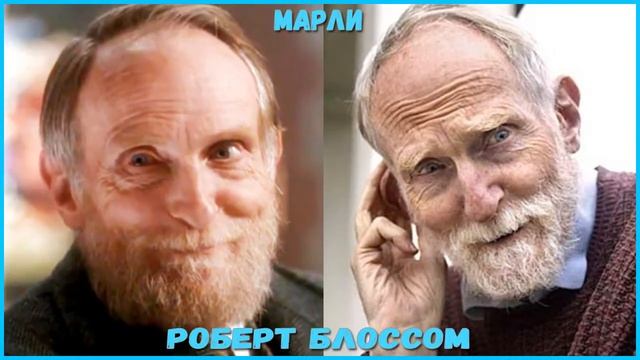 ОДИН ДОМА АКТЁРЫ ДО И ПОСЛЕ СЪЁМОК ЧАСТЬ 2 смотреть онлайн