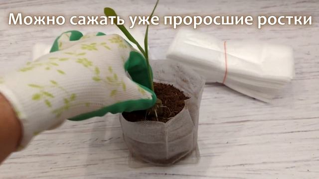 Пакеты для рассады, размер 16х18 см, 1000 мл, 100 шт/уп. смотреть онлайн