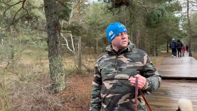Прогулка в национальном парке смотреть онлайн