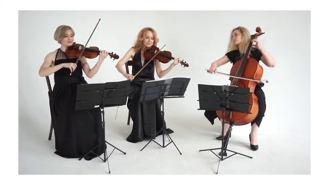 Агидель. Струнное трио. Пермь. https://vk.com/strunnoetrioagidel смотреть онлайн