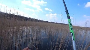 Март  Весна  Рыбалка  Ловля карпа на боковой кивок в карьере . My fishing