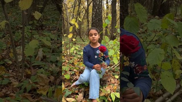 Фет А.А. Осенняя роза. Читает Трынкова Вера смотреть онлайн