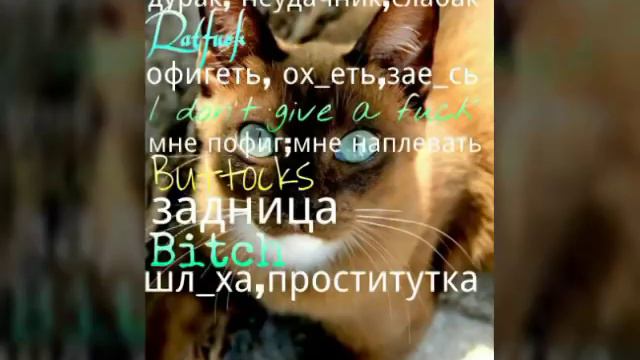 Плохие слова на английском смотреть онлайн