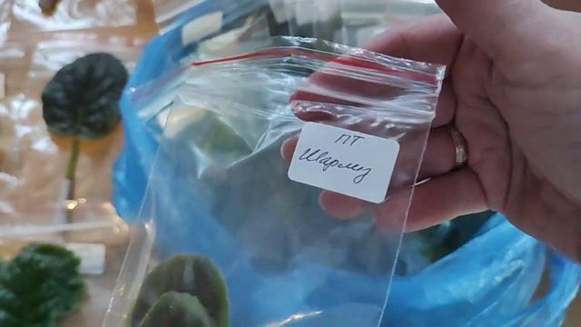 Эпизод 10. Покупки в середине зимы, в -30 градусов😱