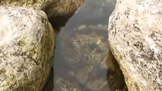 КАК ПРОВЕЛИ ВЫХОДНЫЕ поездка на выходные в крым avi смотреть онлайн