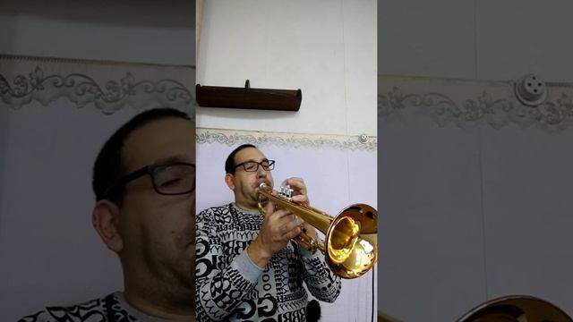 Рябиновые бусы кавер на трубе! смотреть онлайн