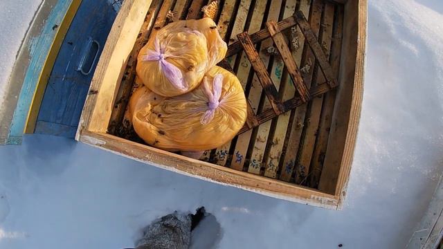 Пасека. Зимовка пчелосемей на воле. Резервный точок в середине февраля. смотреть онлайн
