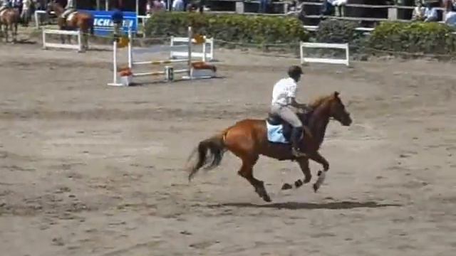 Santi Nacional 2013 - CAE