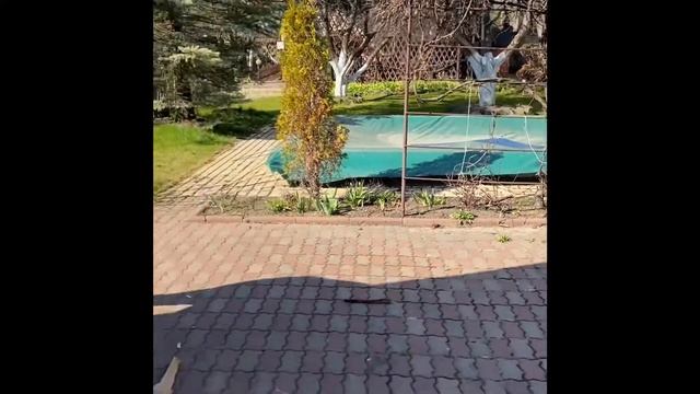 ВЛОГ КАРАНТИН В КИЕВЕ УЕХАЛ НА ДАЧУ ЖАРИТЬ ШАШЛЫ смотреть онлайн