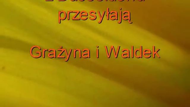 Barwy Jesieni - Czerwone Gitary смотреть онлайн