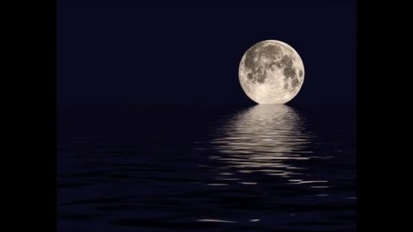 Gary Moore - Picture of the Moon *coaster380*