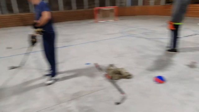 Бросковая тренеровка Хайфских "Ястребов" . хоккей Хайфа смотреть онлайн