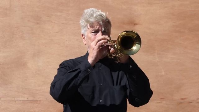 David Lynch - Ice Bucket Challenge For ALS