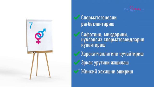 Sperolin va Mammolin haqida смотреть онлайн
